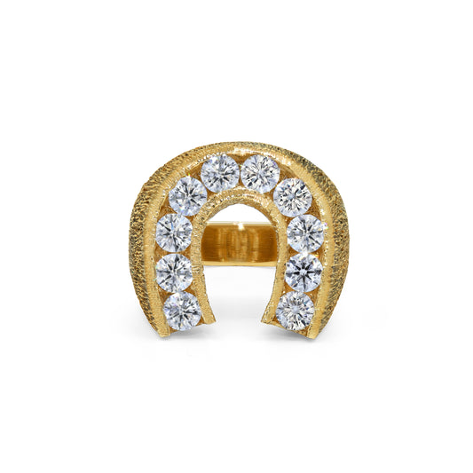 “DOUBLE DOWN” HORSESHOE