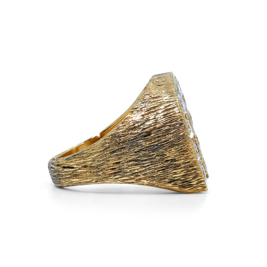 “DOUBLE DOWN” HORSESHOE